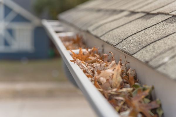 Leaf Barrier Installation in Albany