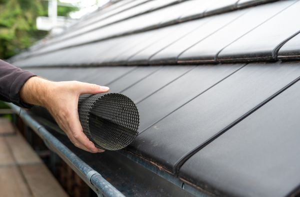 Gutter Mesh Installation in Albany
